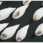 Piešťany, kolonadový most