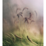 ***tak trochu mechu***