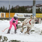 vzdy s usmevem - rekl sob