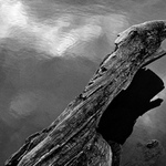 jakýsi klacek těsně nad vodou