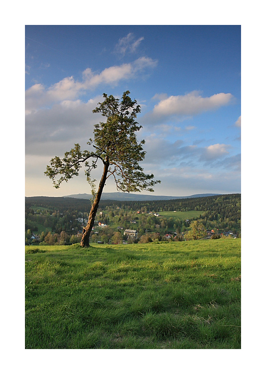 před Bedřichovem