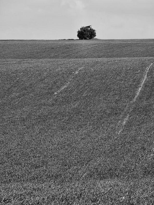 sám voják v poli ...