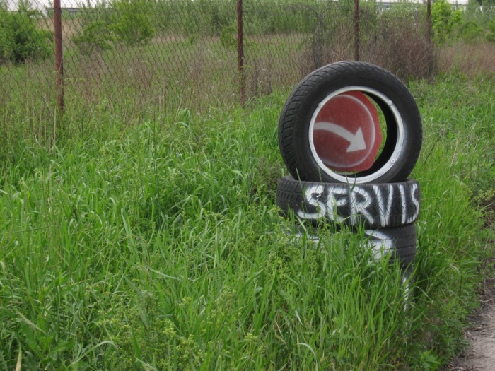 servis strany zelených