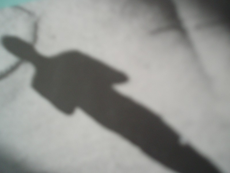 proces