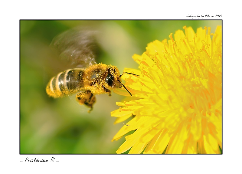 ... Přistáváme ...