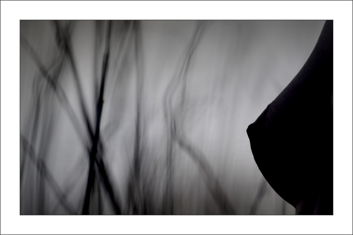 ...tráva je tráva:)...