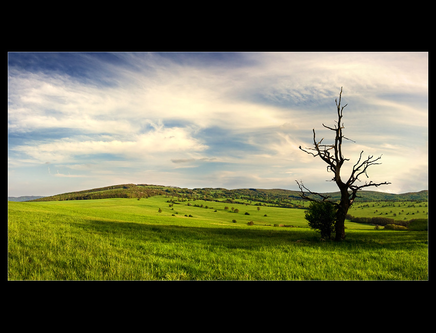 na úbočí bielych karpát...