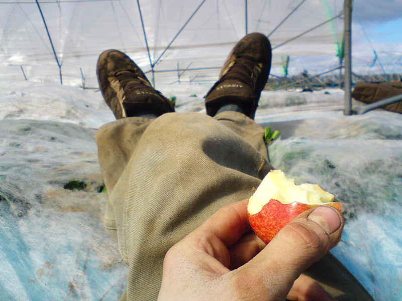 Praci cest a rukam jabko