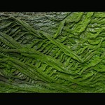 Znakové písmo Tilia