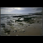 Low Tide at Birling Gap