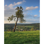 před Bedřichovem