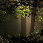 SÁM V RANNÍM TICHU