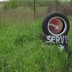 servis strany zelených