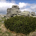 Dívčí kameny 2010