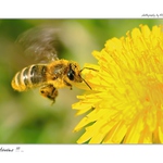 ... Přistáváme ...