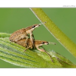 ... Per to do mě ze zadu!!! ...