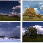 čtvero ročních období