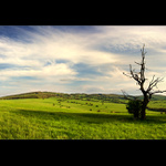 na úbočí bielych karpát...