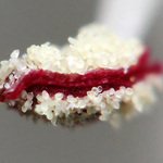 detail předchozí...