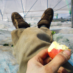 Praci cest a rukam jabko