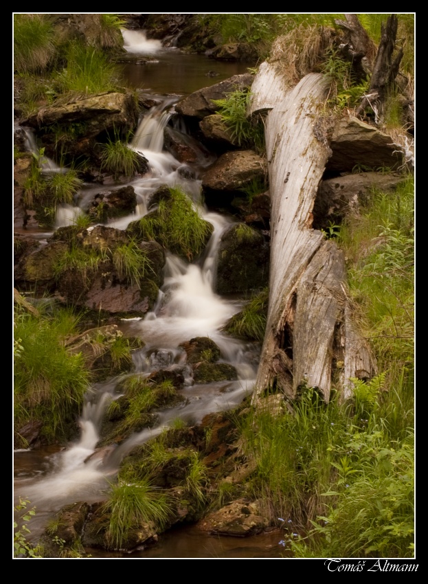 z rána ještě jedna