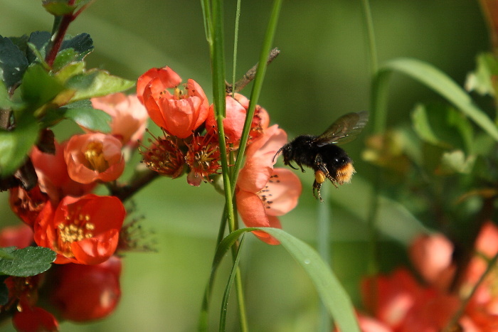 Jeden z mála ....letos