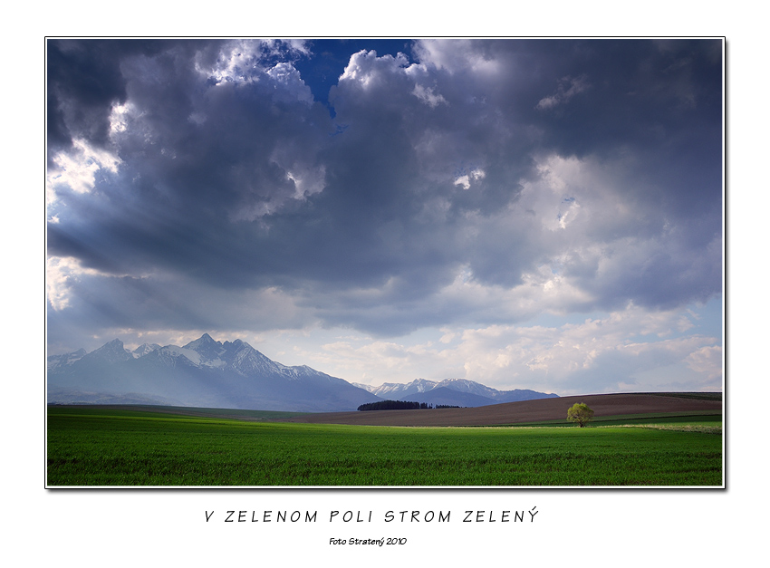 V zelenom poli strom zelený