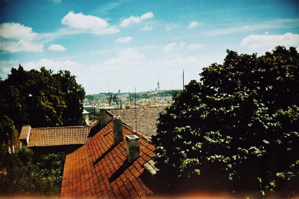 ž