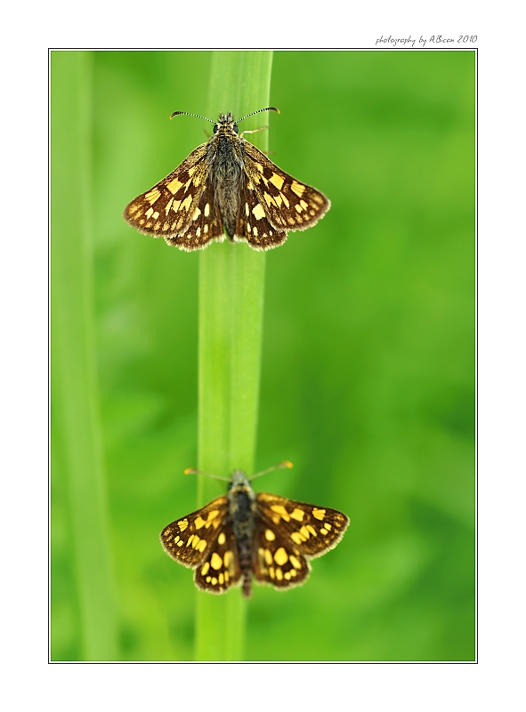 ... Vzletová paluba ...