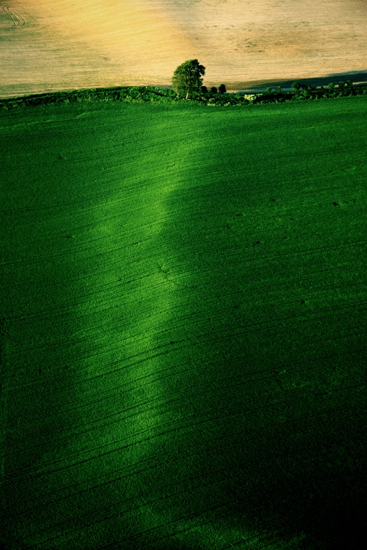 Lines & Litghts