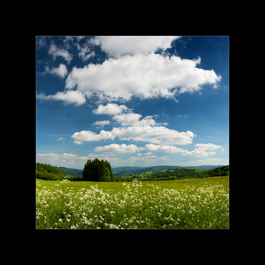 lúky nad žítkovou