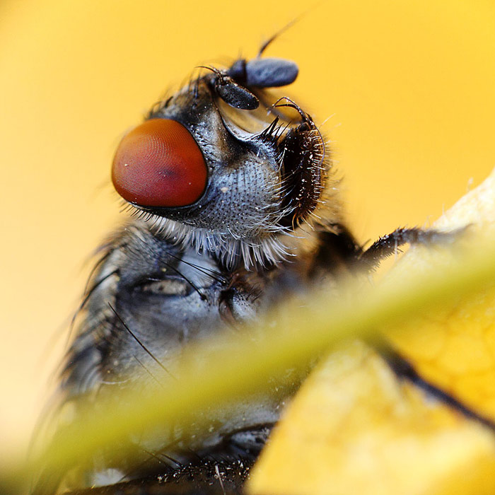 no ještě že to neni v životní velikosti...
