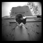 Výročí osvobození