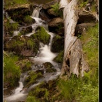 z rána ještě jedna