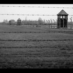 Tak trochu jiný tábor II.