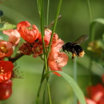 Jeden z mála ....letos