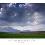 V zelenom poli strom zelený