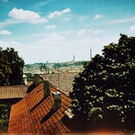 ž
