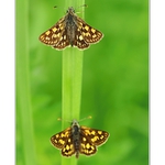 ... Vzletová paluba ...