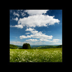 lúky nad žítkovou