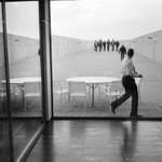 uz iduuu, uz sa terigajuuuu