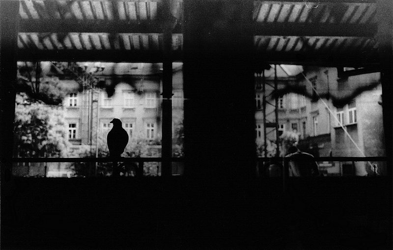 Krakow