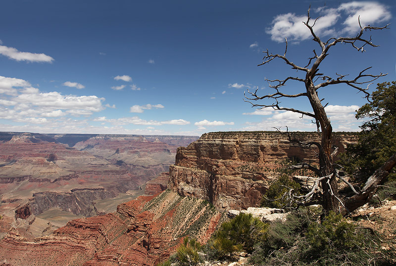 Grand Canyon II