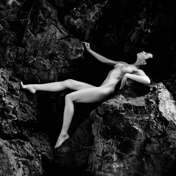 vicki stone
