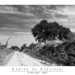 Camino de Santiago