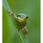 *..ranní setkání..*