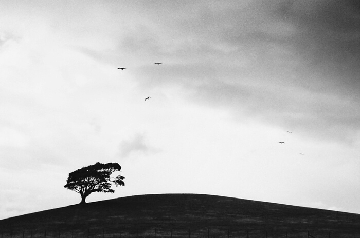 1000 miles across Wales #2