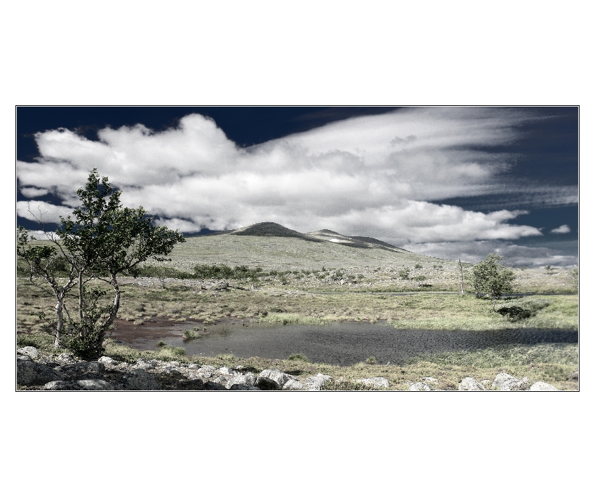 Stor-Svuku     Norsko