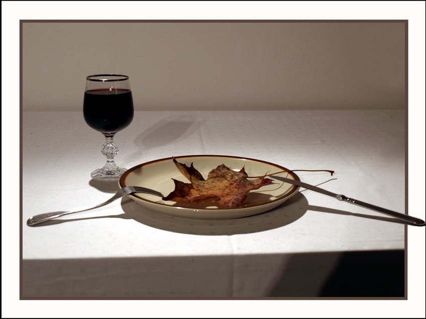 Still life in brown