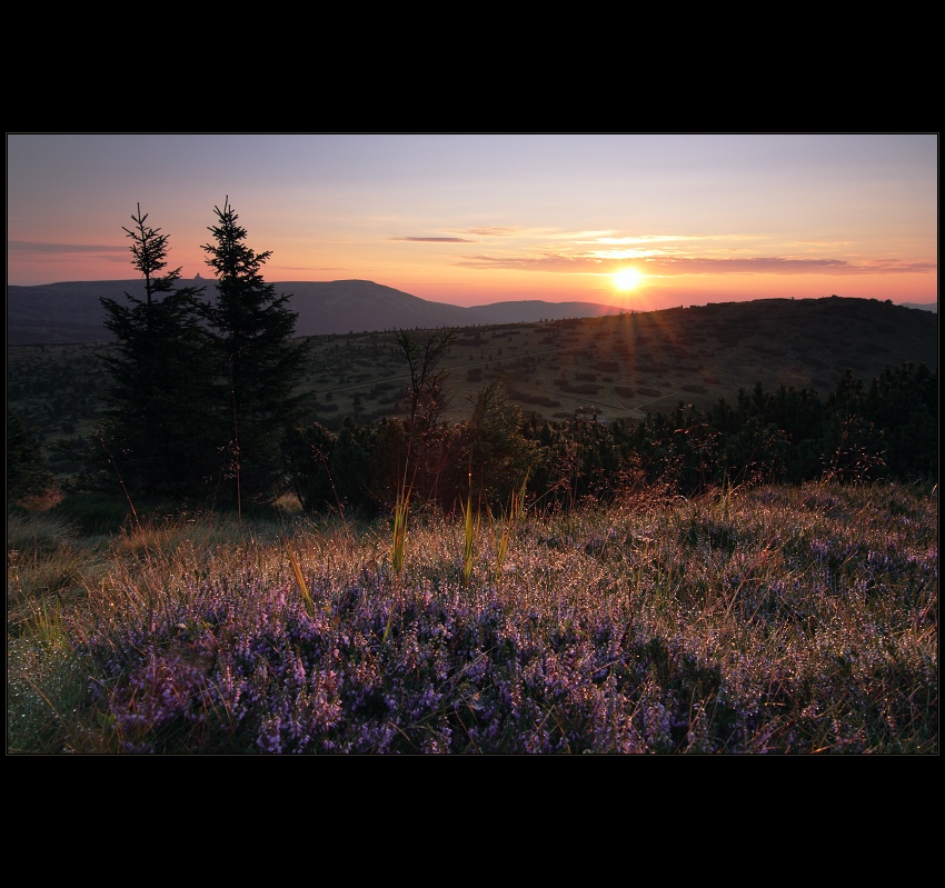 Krakonošova zahrádka